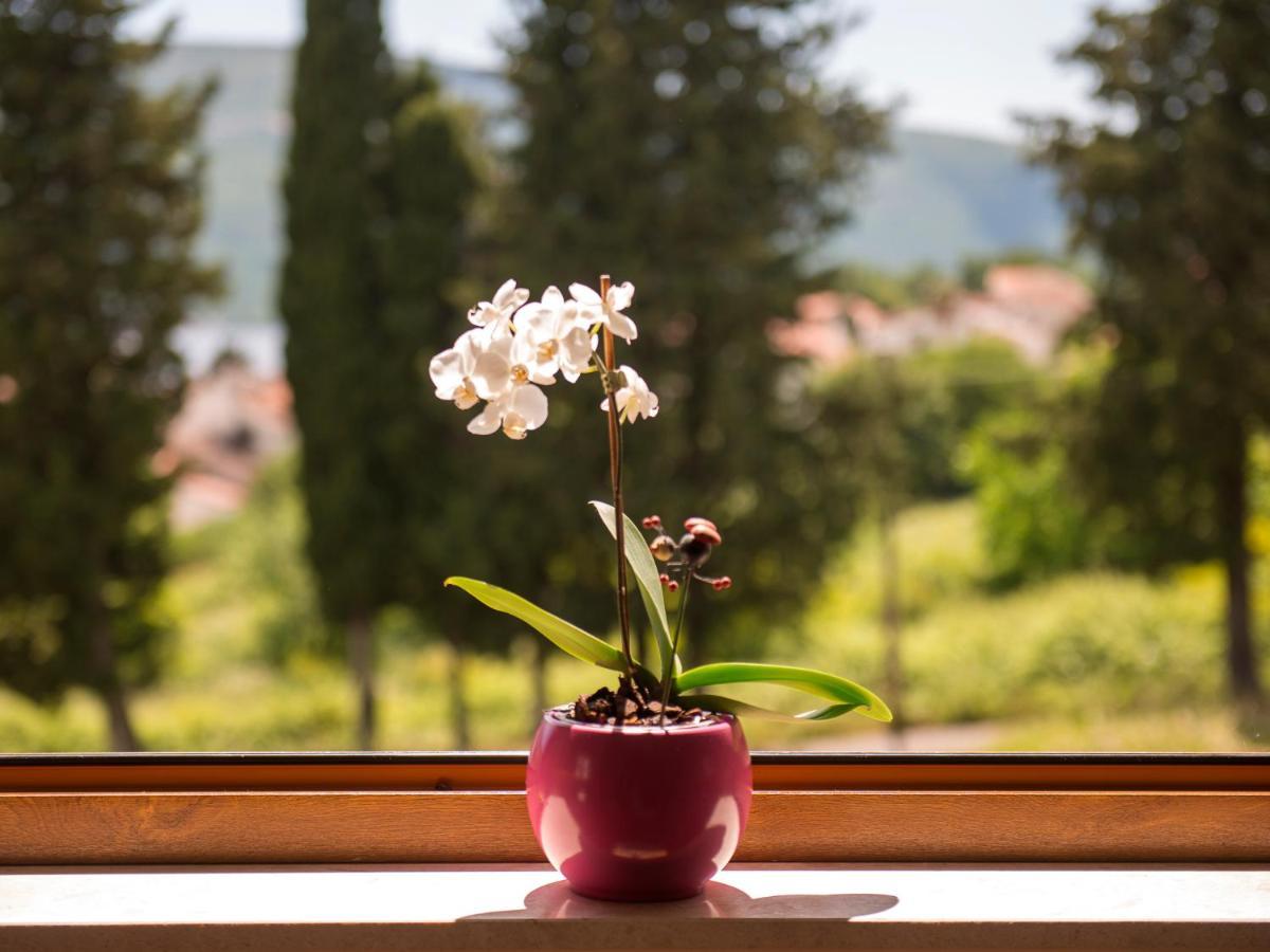 Cicciobello Lux Apartment Baosici With Stunning Sea View Bagian luar foto